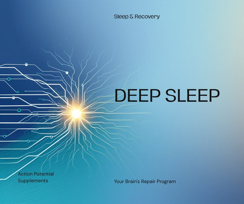 AI-assisted illustration: Deep sleep isn’t rest — it’s when your brain runs its repair program (2026)
