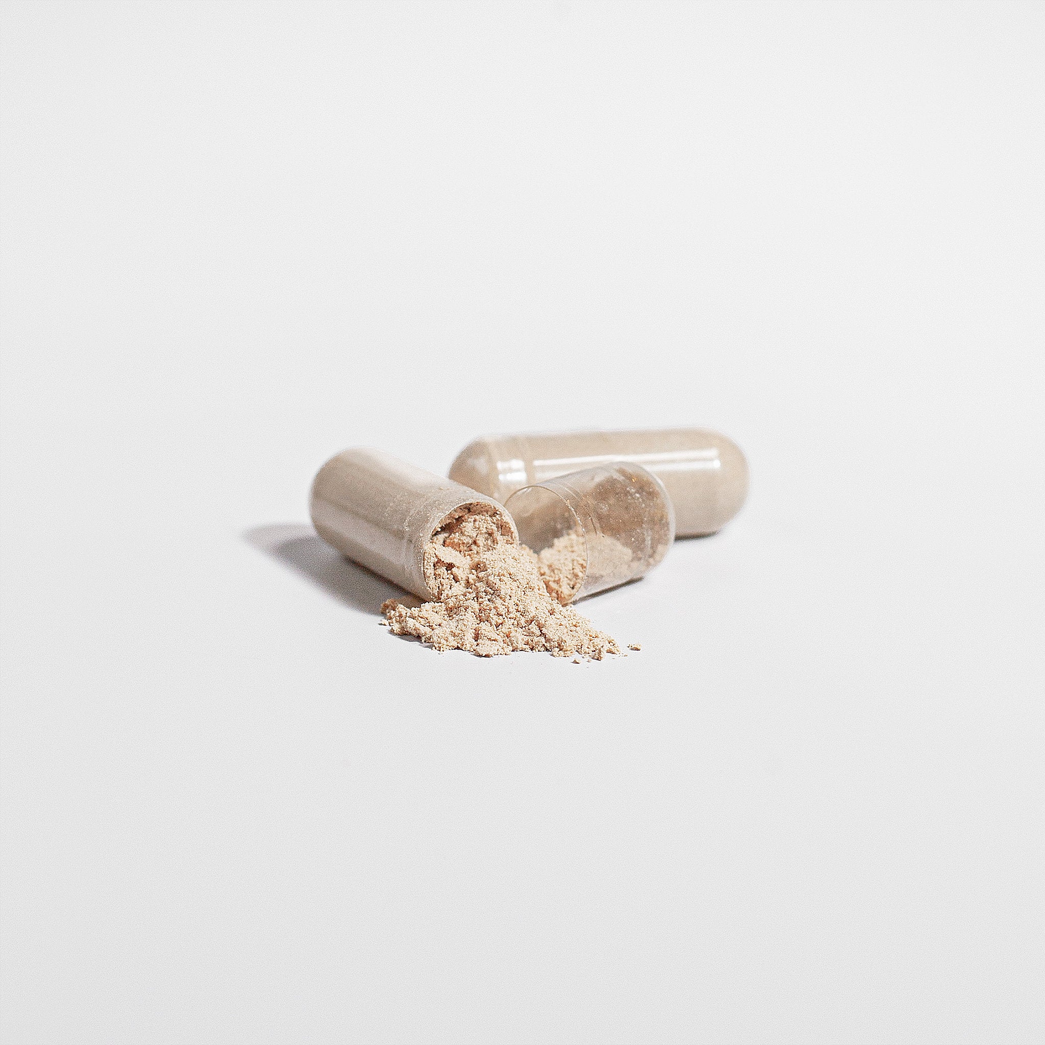 Chaga Mushroom - Product image 10